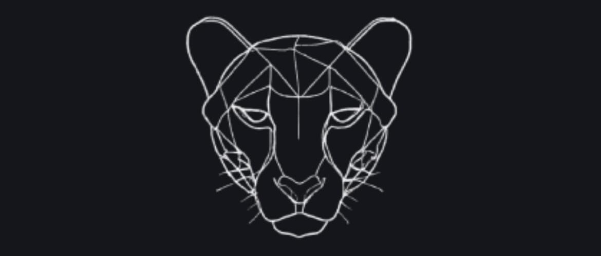 OchyRunStyle Cheetah